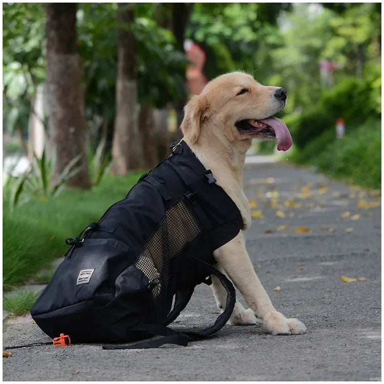 Hiking Dog Backpack – Ventilated, Breathable Pet Carrier for Travel, Bicycle, & Motorcycle
