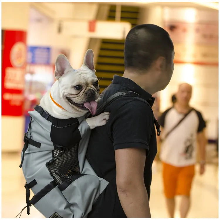 Hiking Dog Backpack – Ventilated, Breathable Pet Carrier for Travel, Bicycle, & Motorcycle