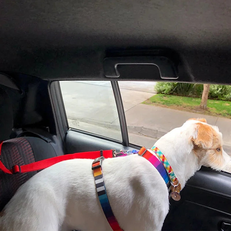 Adjustable Two-in-One Pet Car Seat Belt & Leash - Nylon Lead for Dogs & Cats, Safety Harness with Backseat Clip