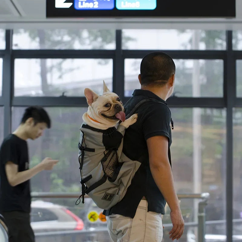 Breathable Dog Carrier Backpack – Reflective, Portable Pet Travel Bag for Cats & Small Dogs