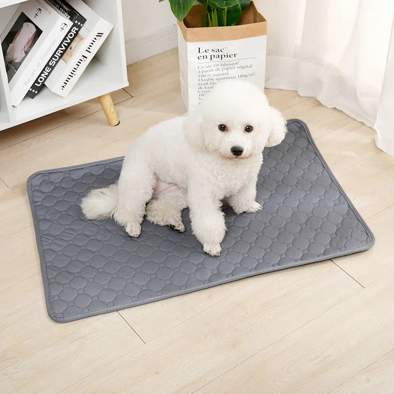Reusable Absorbent Dog Pee Pad Blanket for Training and Car Seat Cove