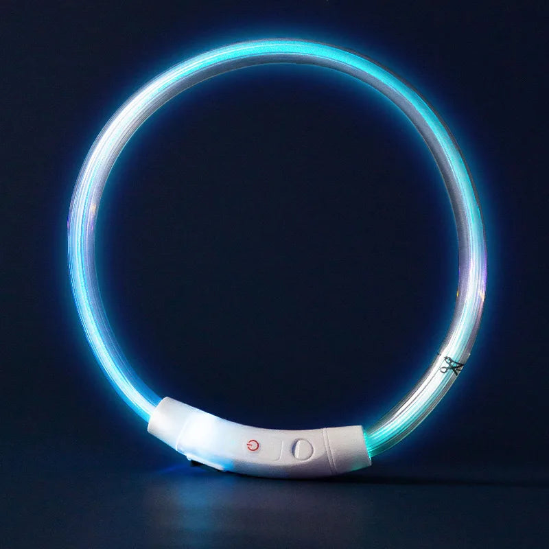USB Rechargeable LED Dog Collar – Luminous Anti-Lost Pet Collar for Night Safety