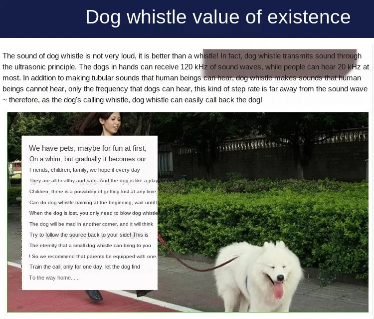 Stainless Steel Dog Training Whistle – Bark Control & Training Tool