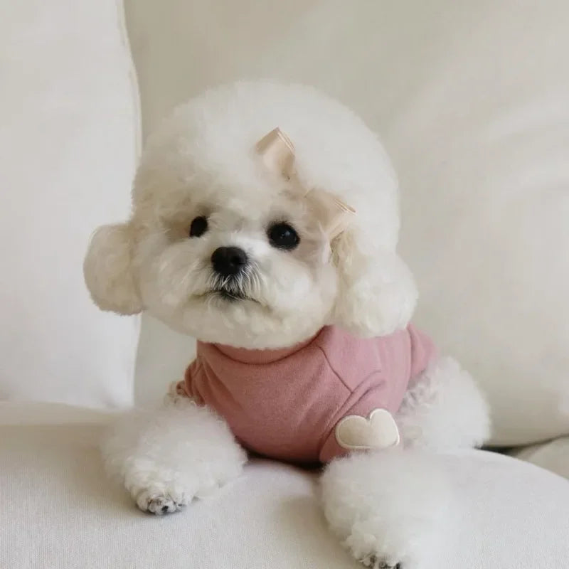 Winter Warm Pet Hoodie – Cute Design for Dogs & Cats
