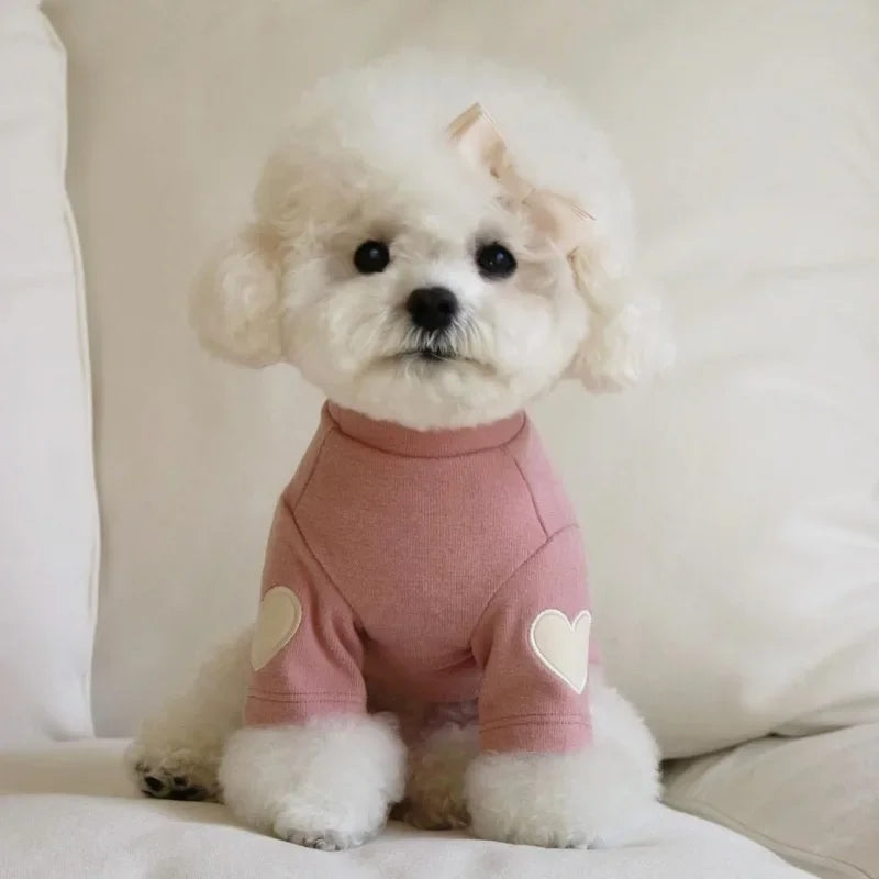 Winter Warm Pet Hoodie – Cute Design for Dogs & Cats