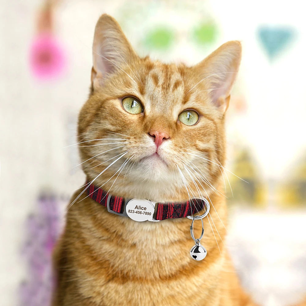 Personalized Cat/Puppy Collar with ID Nameplate & Bell – Adjustable, Custom Printed