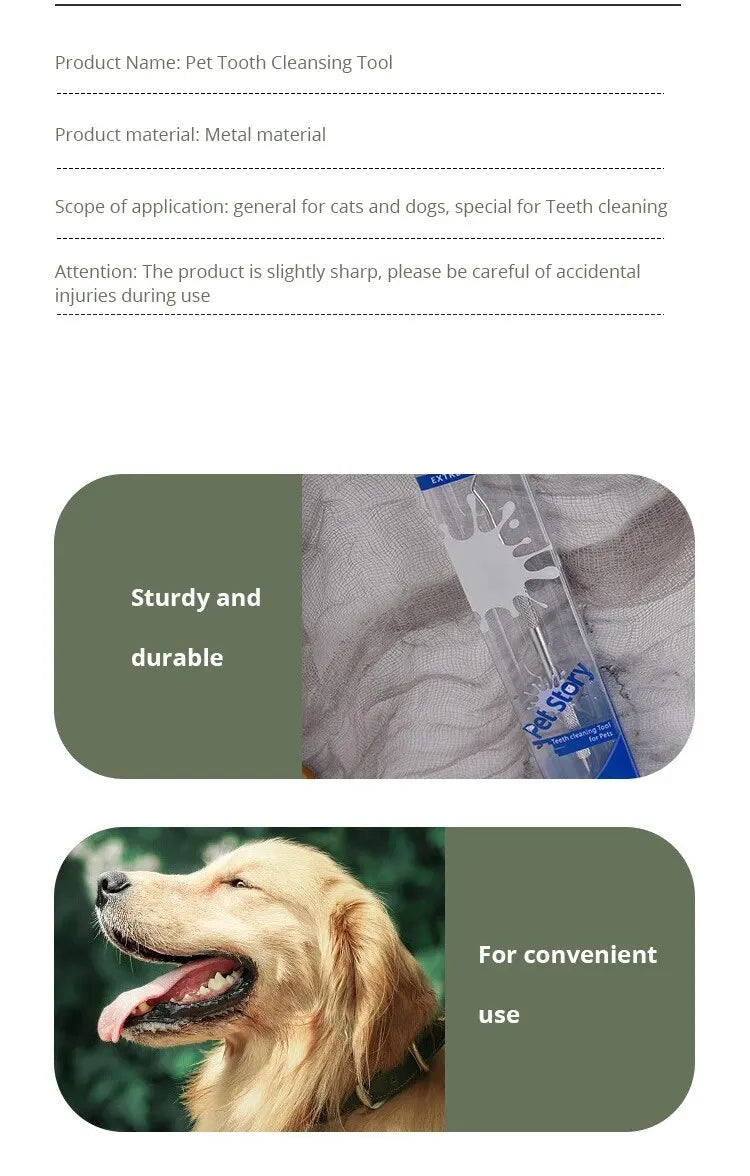Stainless Steel Dog Dental Scraper – Pet Tartar Remover & Oral Cleaning Tool