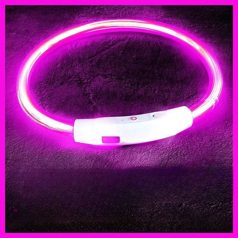 USB Rechargeable LED Dog Collar – Luminous Anti-Lost Pet Collar for Night Safety