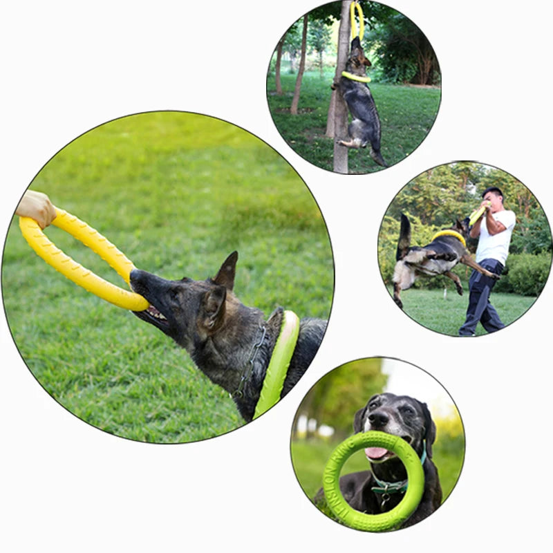 Durable Dog Flying Disk Toy – Interactive Training Ring for Aggressive Chewers – Floating Anti-Bite Pet Toy