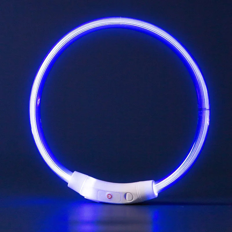 USB Rechargeable LED Dog Collar – Luminous Anti-Lost Pet Collar for Night Safety