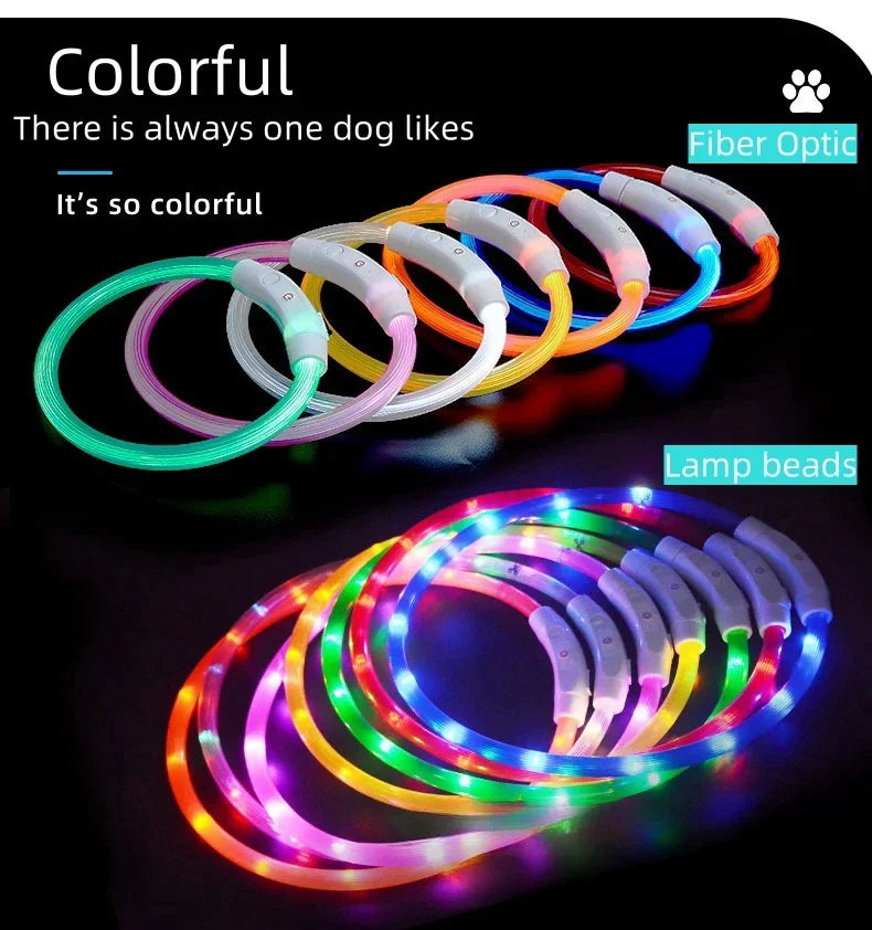 USB Rechargeable LED Dog Collar – Luminous Anti-Lost Pet Collar for Night Safety