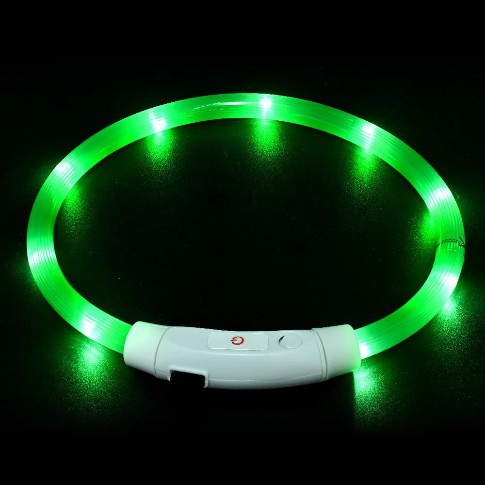 USB Rechargeable LED Dog Collar – Luminous Anti-Lost Pet Collar for Night Safety