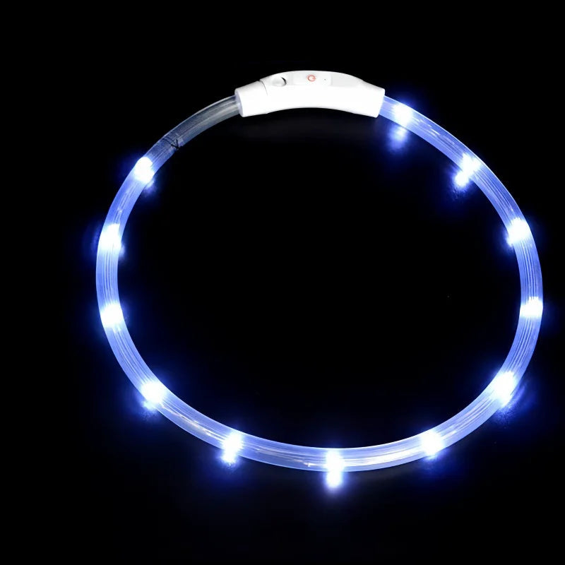 USB Rechargeable LED Dog Collar – Luminous Anti-Lost Pet Collar for Night Safety