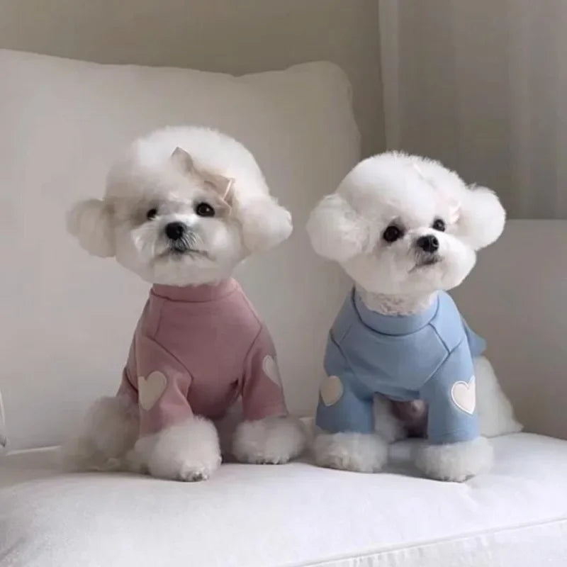 Winter Warm Pet Hoodie – Cute Design for Dogs & Cats