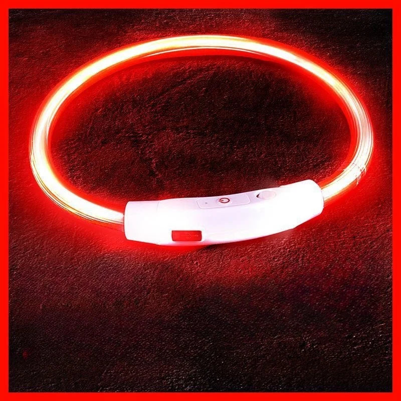 USB Rechargeable LED Dog Collar – Luminous Anti-Lost Pet Collar for Night Safety