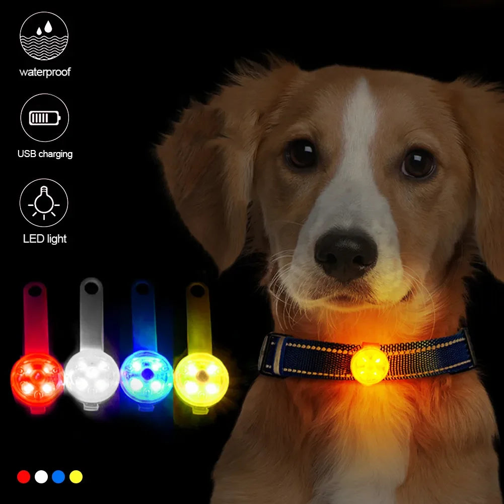 USB Rechargeable LED Safety Light Pendant for Dogs & Cats – Waterproof Anti-Loss Collar with Flashing Light