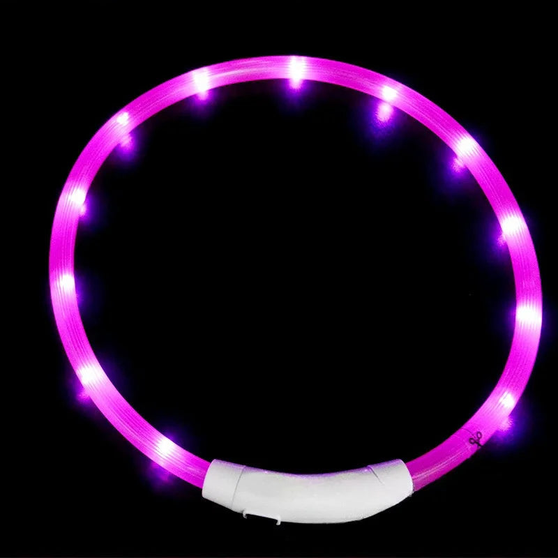 USB Rechargeable LED Dog Collar – Luminous Anti-Lost Pet Collar for Night Safety