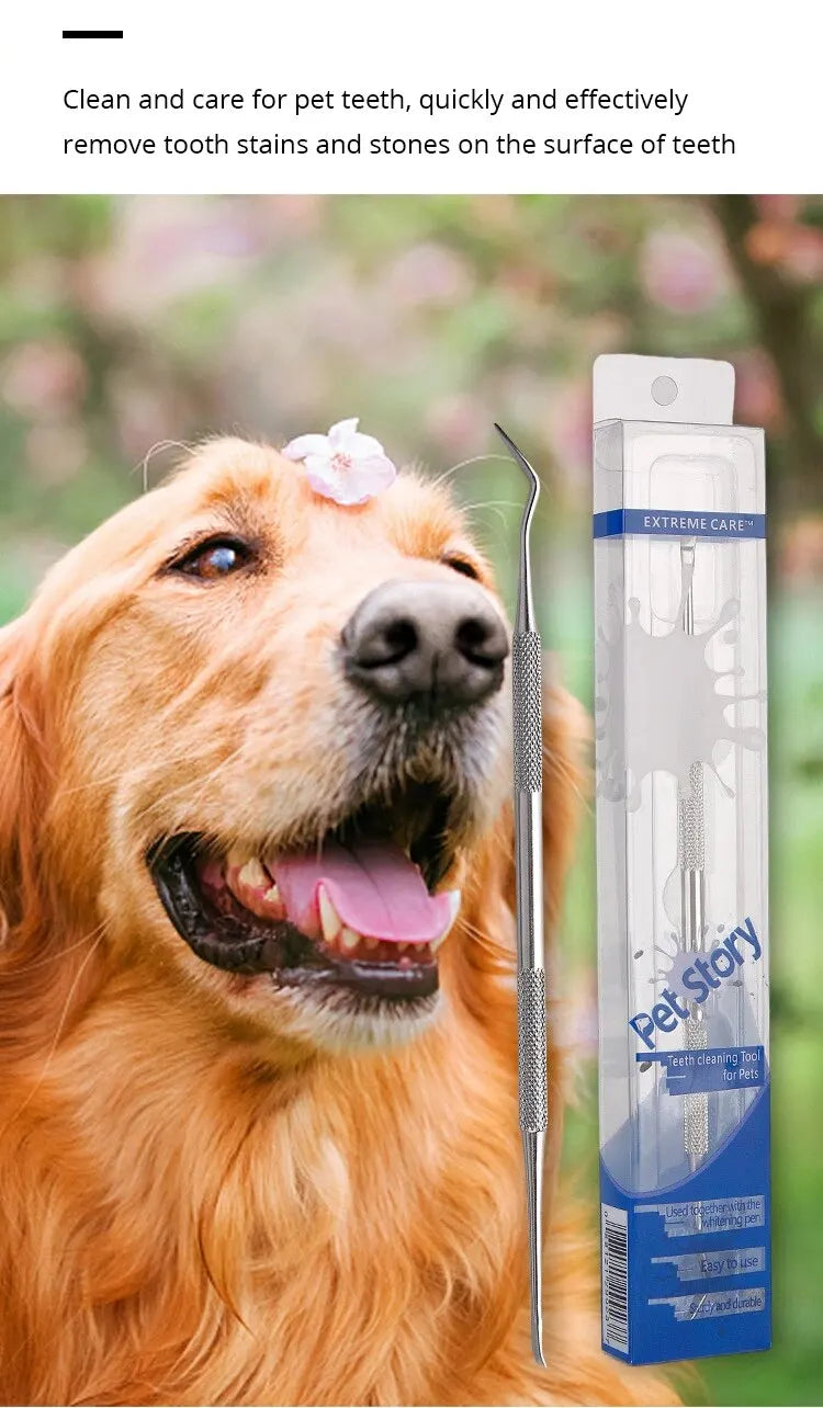 Stainless Steel Dog Dental Scraper – Pet Tartar Remover & Oral Cleaning Tool