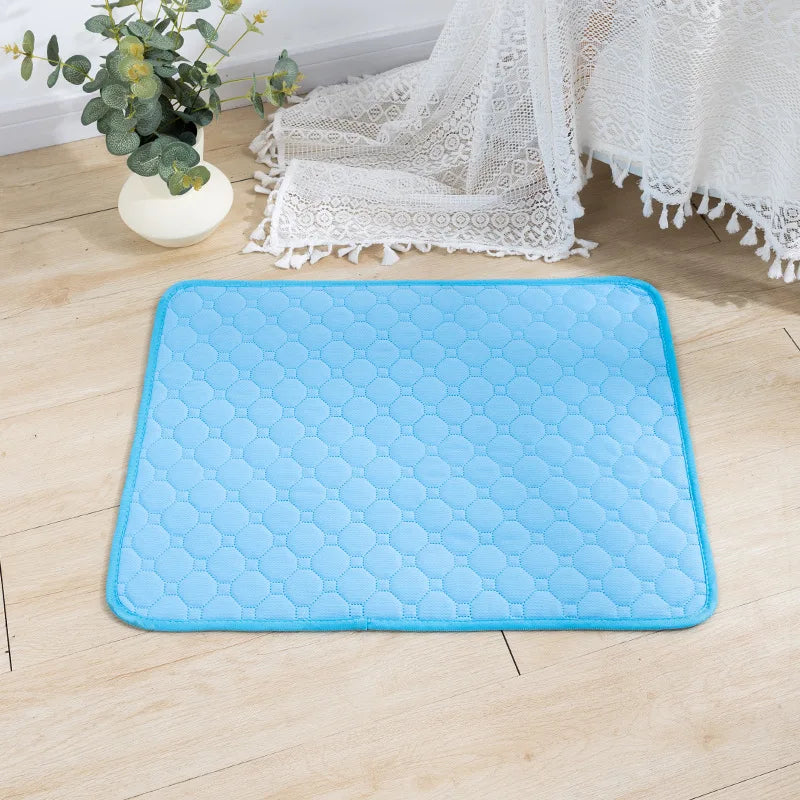 Reusable Absorbent Dog Pee Pad Blanket for Training and Car Seat Cove