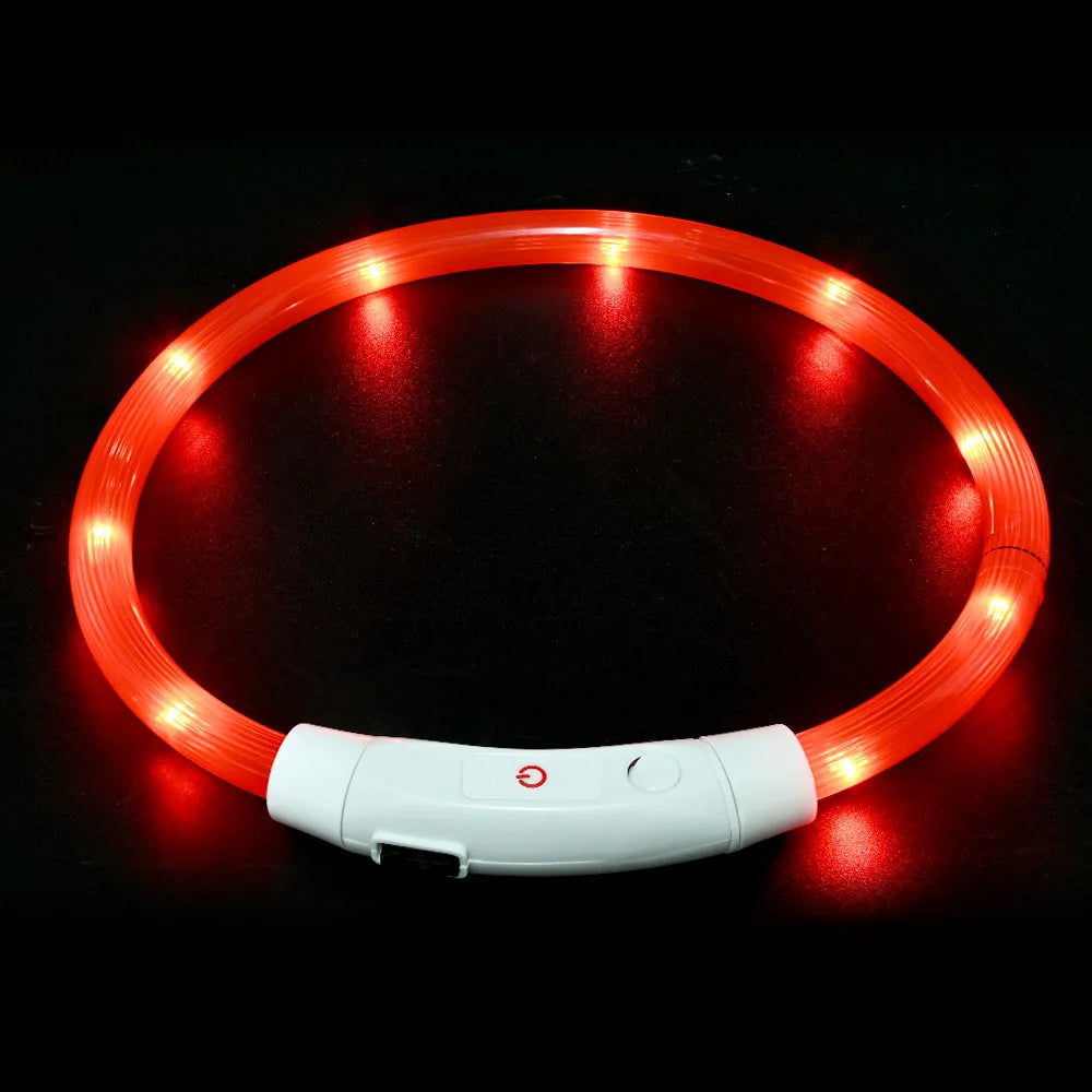 USB Rechargeable LED Dog Collar – Luminous Anti-Lost Pet Collar for Night Safety