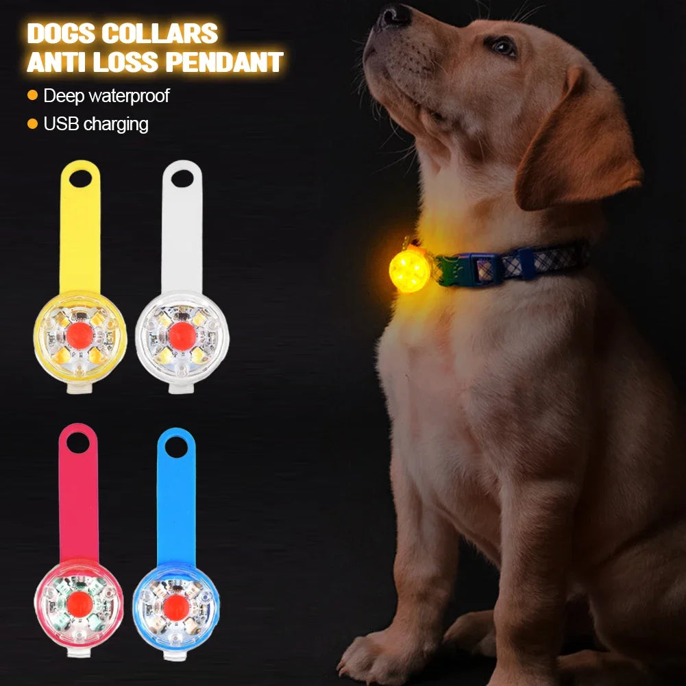 USB Rechargeable LED Safety Light Pendant for Dogs & Cats