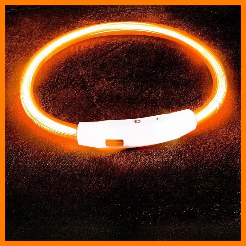 USB Rechargeable LED Dog Collar – Luminous Anti-Lost Pet Collar for Night Safety