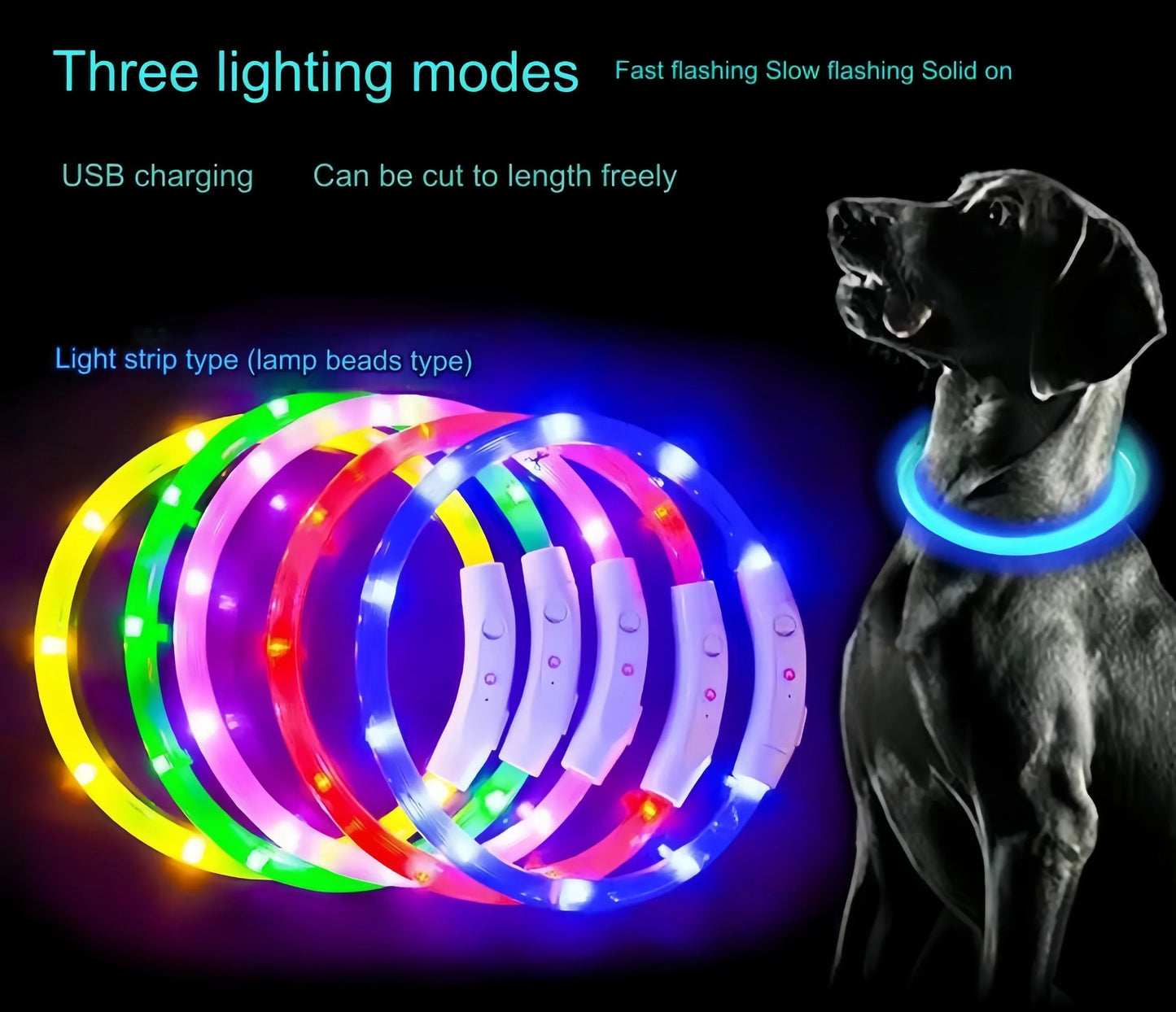 USB Rechargeable LED Dog Collar – Luminous Anti-Lost Pet Collar for Night Safety