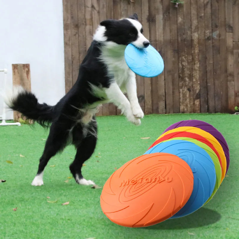 Durable Bite-Resistant Dog Flying Disc – Outdoor Training & Interactive Toy for Dogs