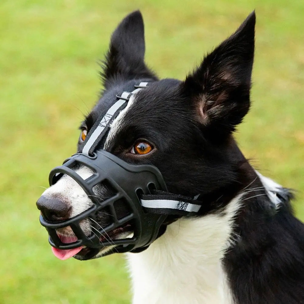 Adjustable Reflective Dog Muzzle – Breathable, Anti-Biting Mouth Cover
