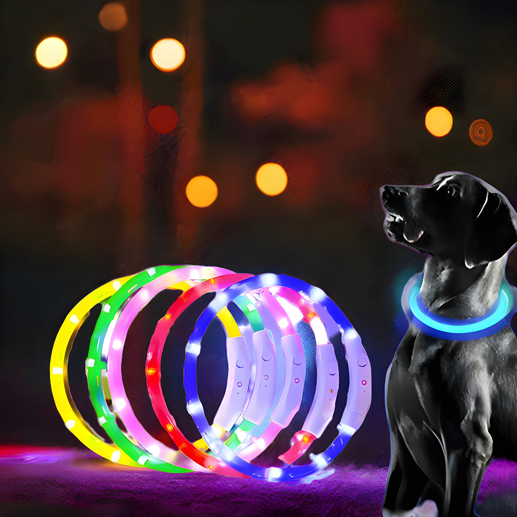 USB Rechargeable LED Dog Collar – Luminous Anti-Lost Pet Collar for Night Safety