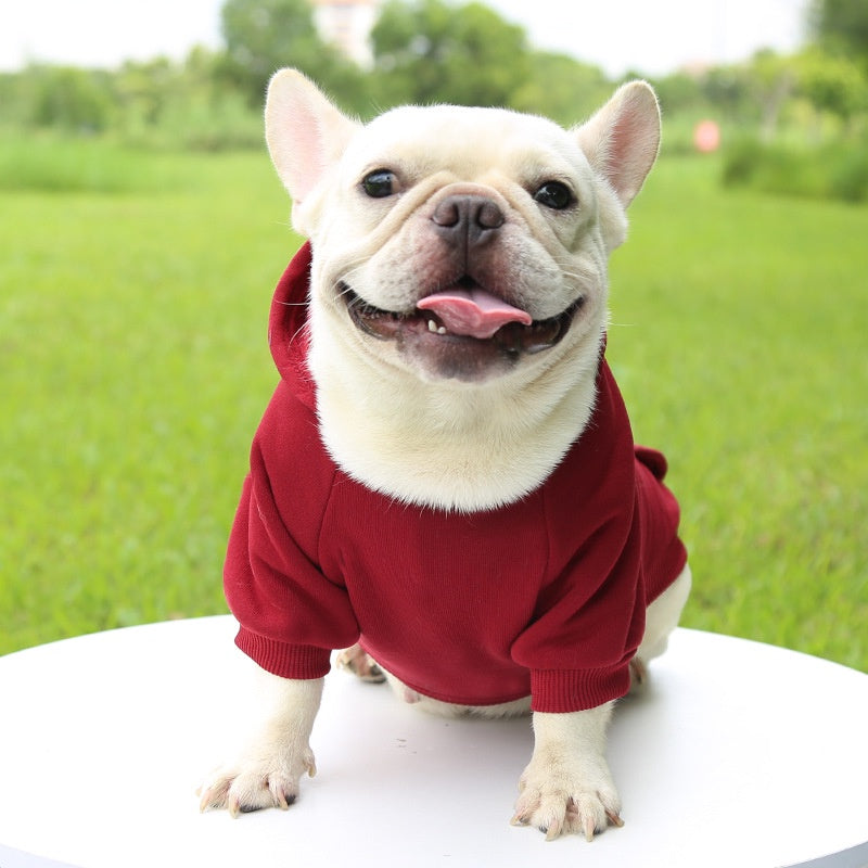 Winter Hooded Sweatshirt for Small & Medium Dogs – Cozy Pet Jacket with Pocket for Chihuahuas, French Bulldogs, and More