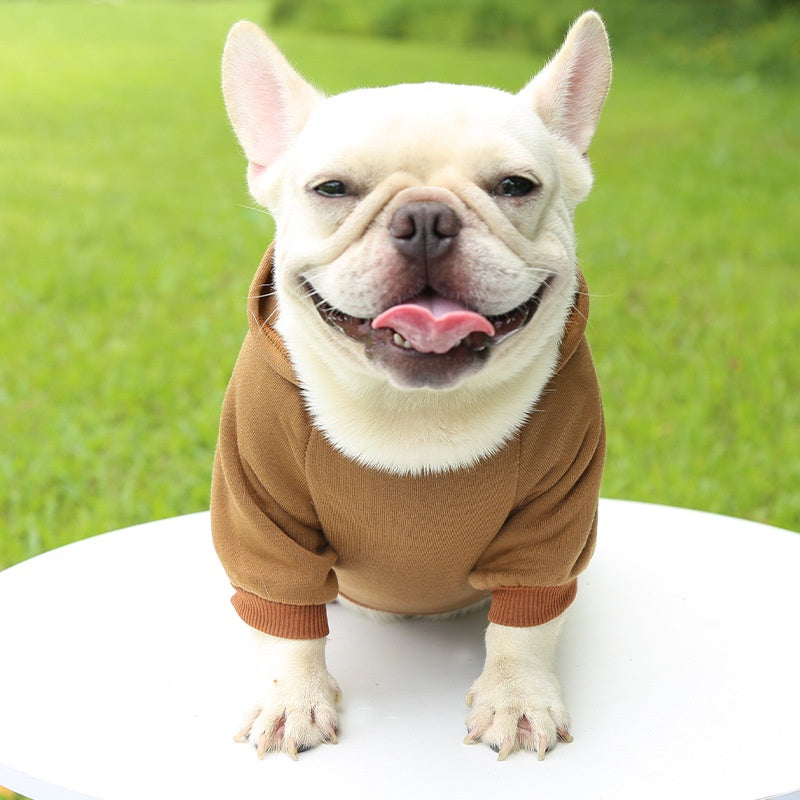Winter Hooded Sweatshirt for Small & Medium Dogs – Cozy Pet Jacket with Pocket for Chihuahuas, French Bulldogs, and More