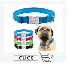 Personalized Leather Dog Collar with Engraved ID Tag – Custom Name & Phone Number for Small, Medium & Large Dogs