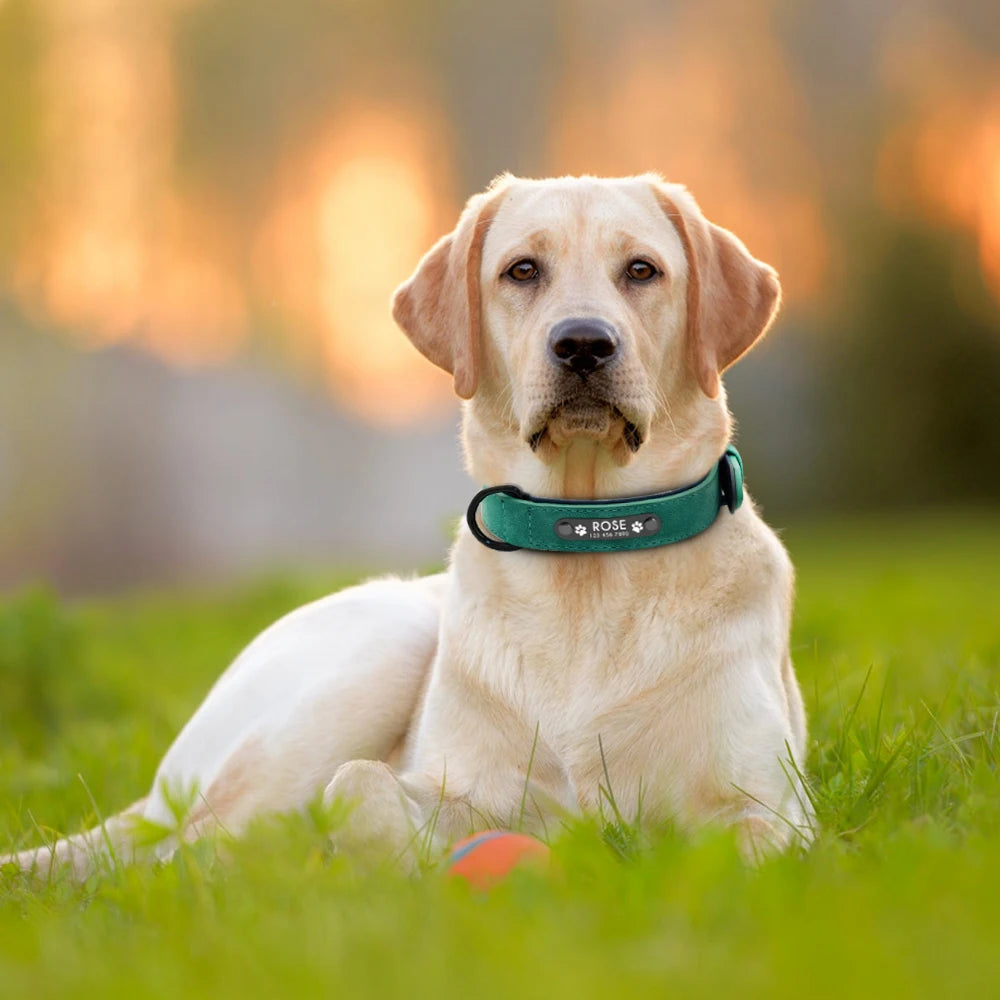 Personalized Leather Dog Collar with Engraved ID Tag – Custom Name & Phone Number for Small, Medium & Large Dogs