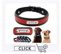 Personalized Leather Dog Collar with Engraved ID Tag – Custom Name & Phone Number for Small, Medium & Large Dogs