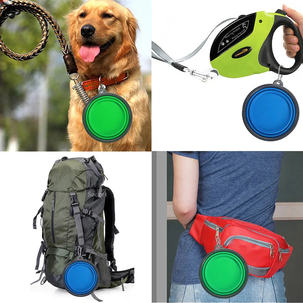 Collapsible Silicone Travel Bowl for Pets with Carabiner