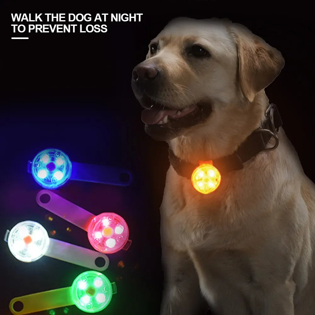 USB Rechargeable LED Safety Light Pendant for Dogs & Cats – Waterproof Anti-Loss Collars with Flashing Light