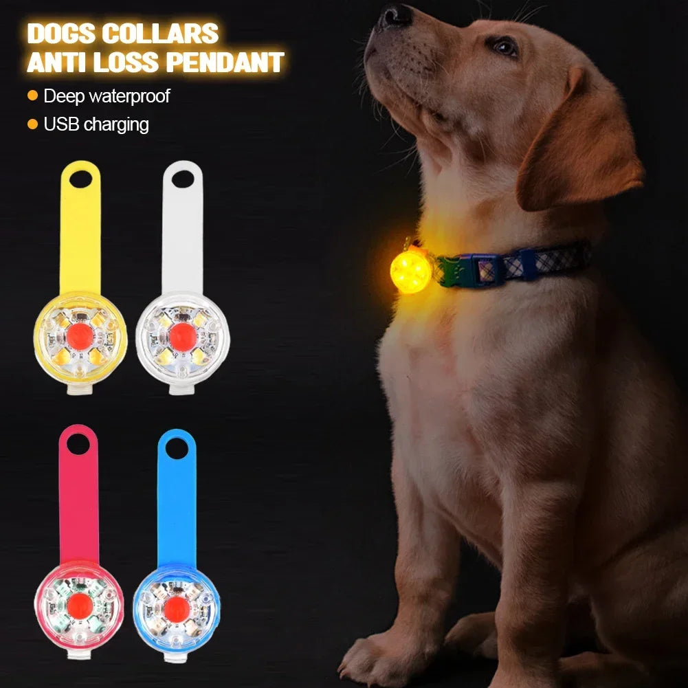 USB Rechargeable LED Safety Light Pendant for Dogs & Cats – Waterproof Anti-Loss Collars with Flashing Light