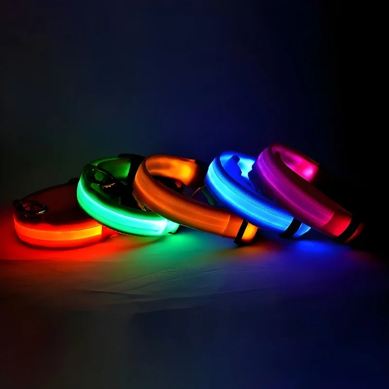 Nylon LED Dog Collar - Night Safety & Glow in the Dark