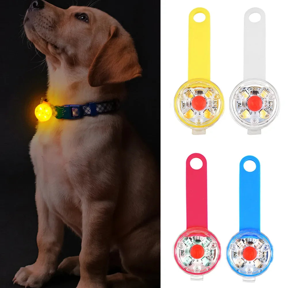 USB Rechargeable LED Safety Light Pendant for Dogs & Cats – Waterproof Anti-Loss Collars with Flashing Light