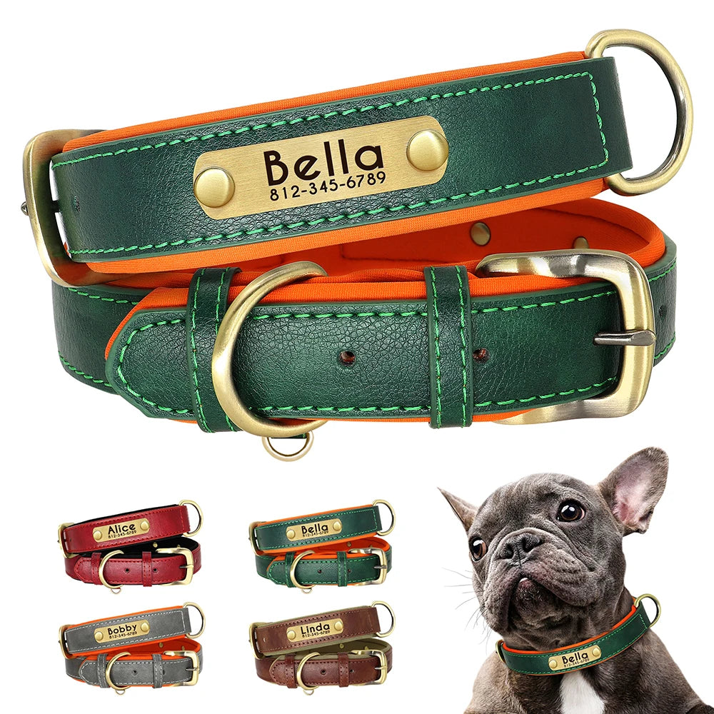 Personalized Leather Dog Collar with ID Nameplate – Custom Engraving, Soft Padded & Adjustable for Medium to Large Dogs