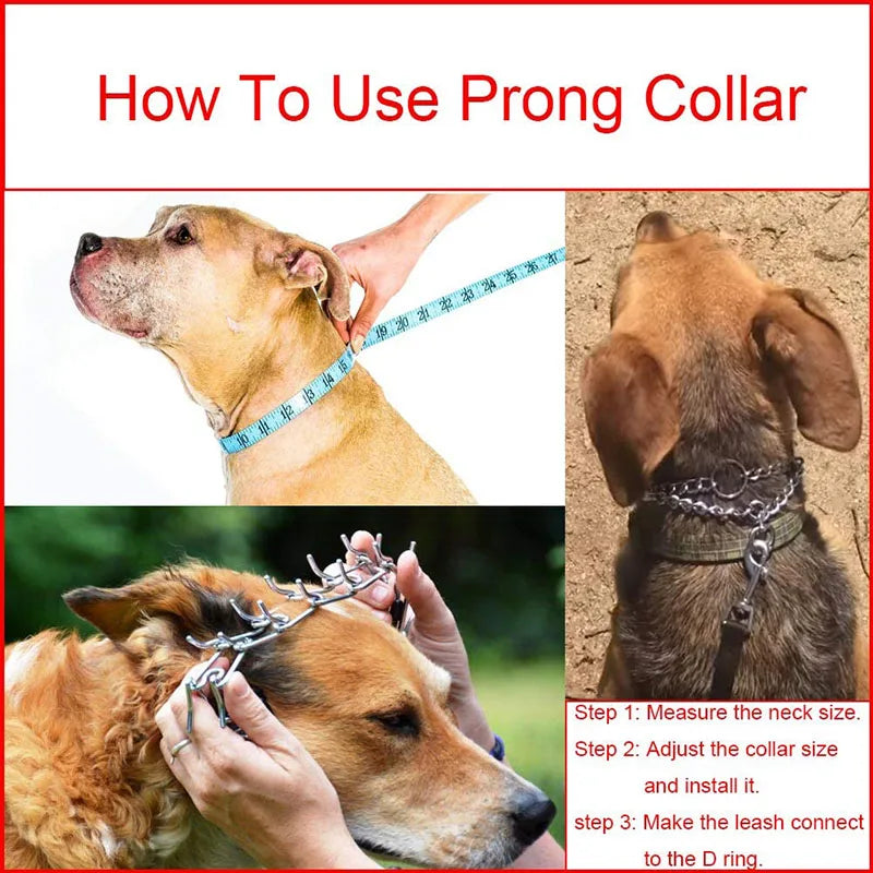 Adjustable Stainless Steel Prong Dog Training Collar with Comfort Tips