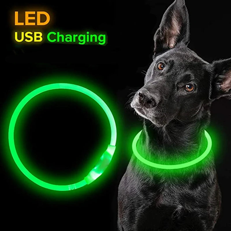 LED Dog Collar - Rechargeable & Luminous Safety Light