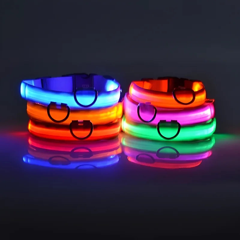 Nylon LED Dog Collar - Night Safety & Glow in the Dark