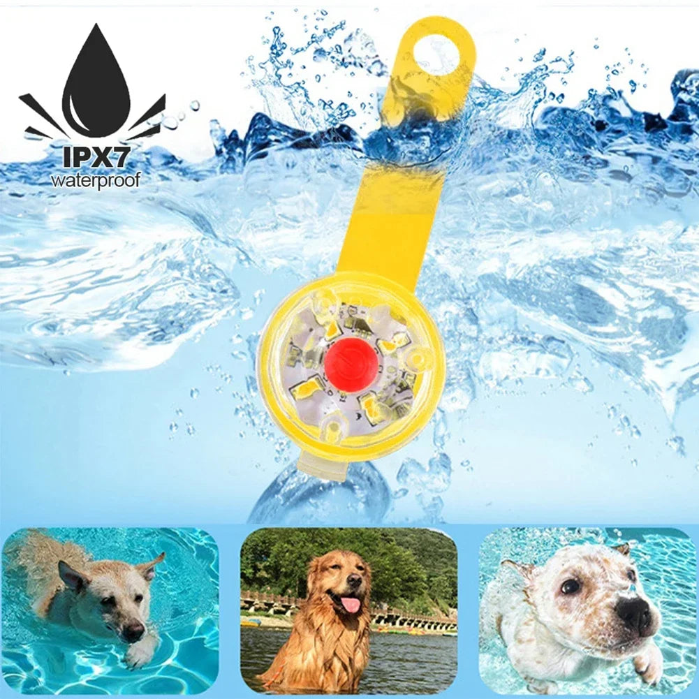 USB Rechargeable LED Safety Light Pendant for Dogs & Cats – Waterproof Anti-Loss Collars with Flashing Light