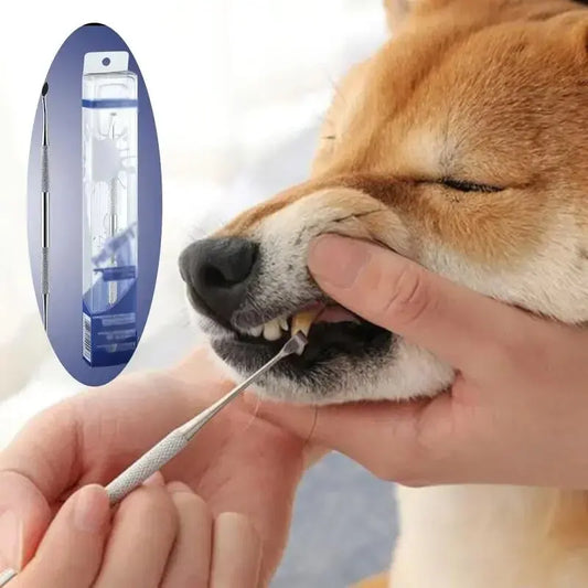 Stainless Steel Dog Dental Scraper – Pet Tartar Remover & Oral Cleaning Tool