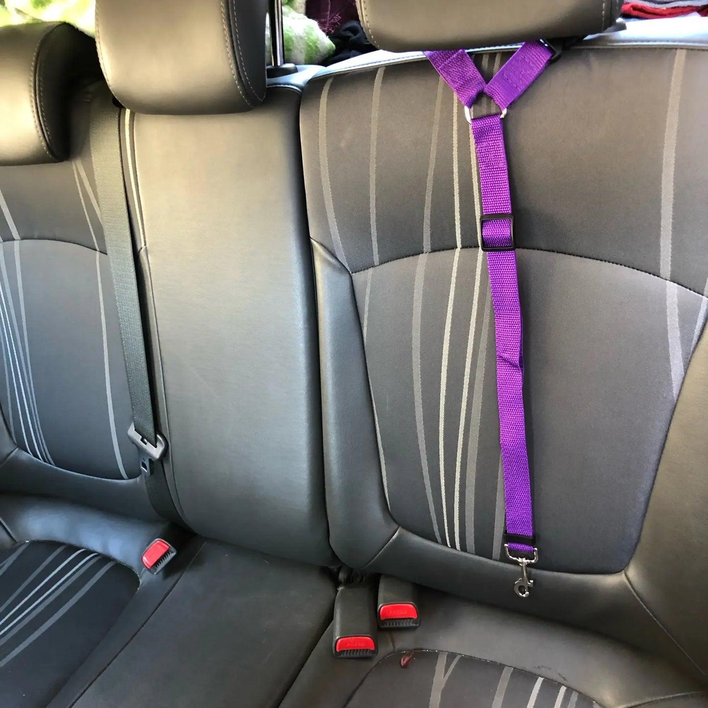 Adjustable Two-in-One Pet Car Seat Belt & Leash - Nylon Lead for Dogs & Cats, Safety Harness with Backseat Clip