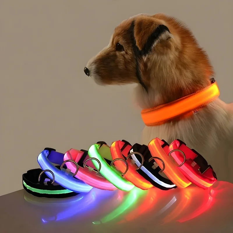 Nylon LED Dog Collar - Night Safety & Glow in the Dark