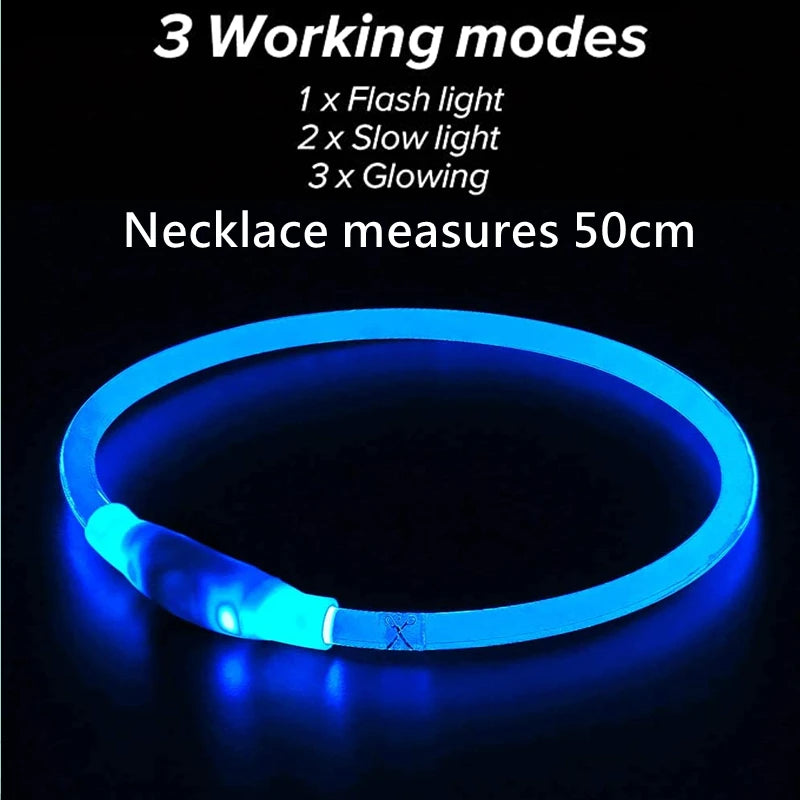 LED Dog Collar - Rechargeable & Luminous Safety Light