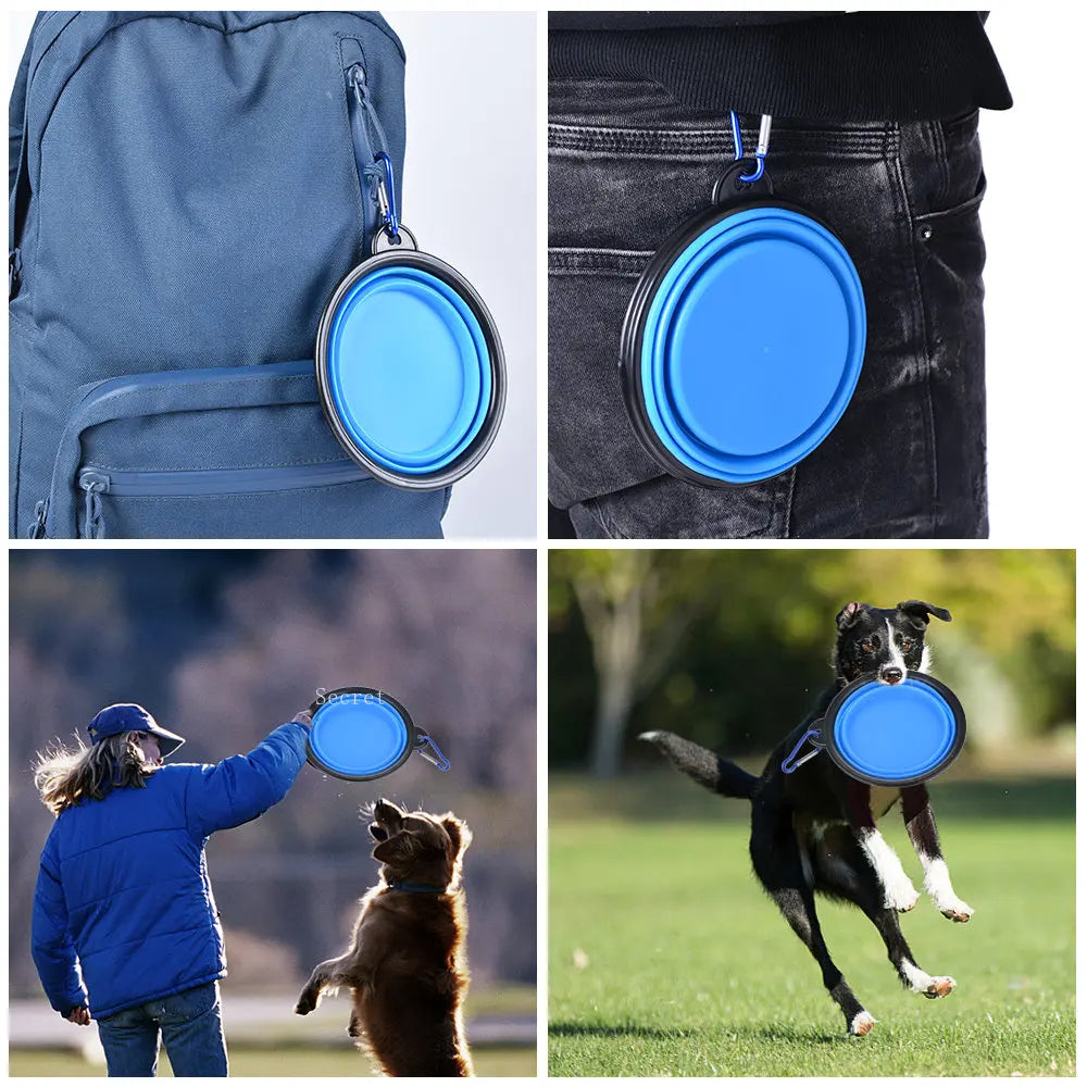 Collapsible Silicone Travel Bowl for Pets with Carabiner